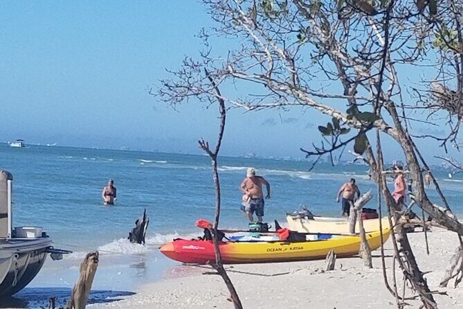 Single Kayak Rental on Big Hickory Pass - Authentic Experiences from Other Travelers
