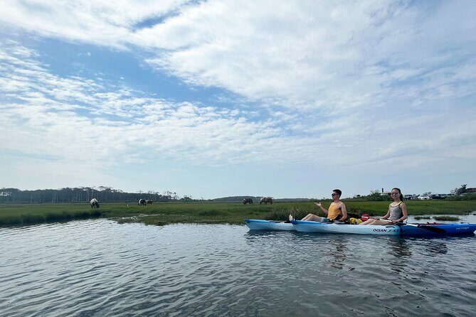 Single Sit on Top Kayak Rental at Assateague Island, MD - Who Would Love This?