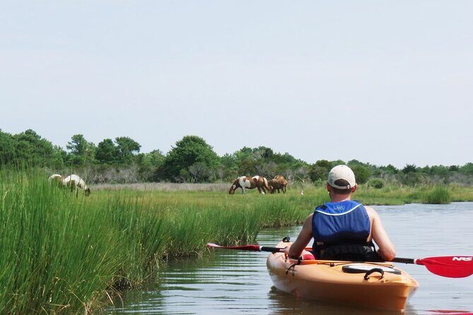 Single Sit on Top Kayak Rental at Assateague Island, MD - FAQ