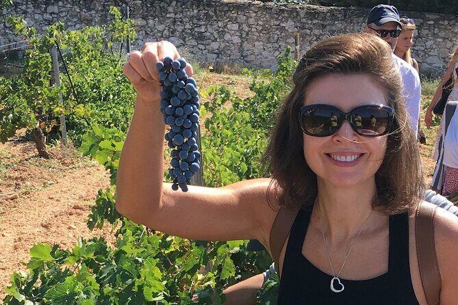 Singular Valencia Wine Tour Utiel Requena Wineries - Who Will Love This Tour?