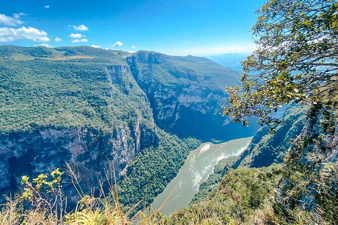 Sink Canyon, Viewpoints and Chiapa de Corzo. - An In-Depth Look at the Tour Experience