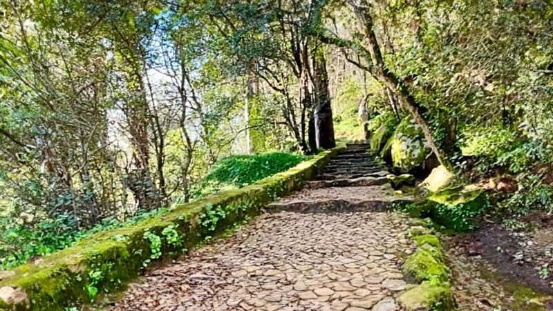 Sintra: Adventure hike around Sintra's most popular castles - The Village Break