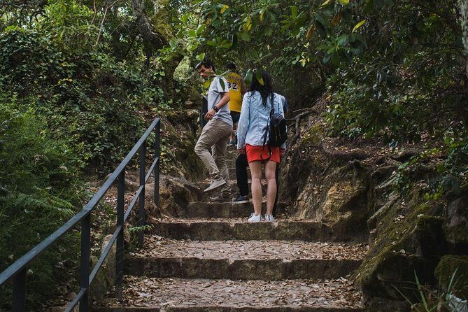 Sintra, Cabo da Roca and Cascais Full Day Private Tour from the West - Practical Details and Value