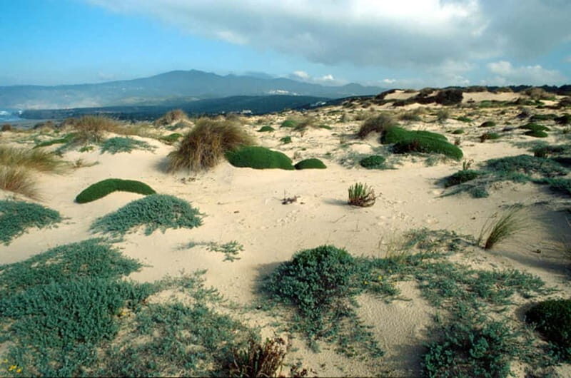 Sintra Cascais Top trekking - Discover Sintra’s Hidden Coast on Foot