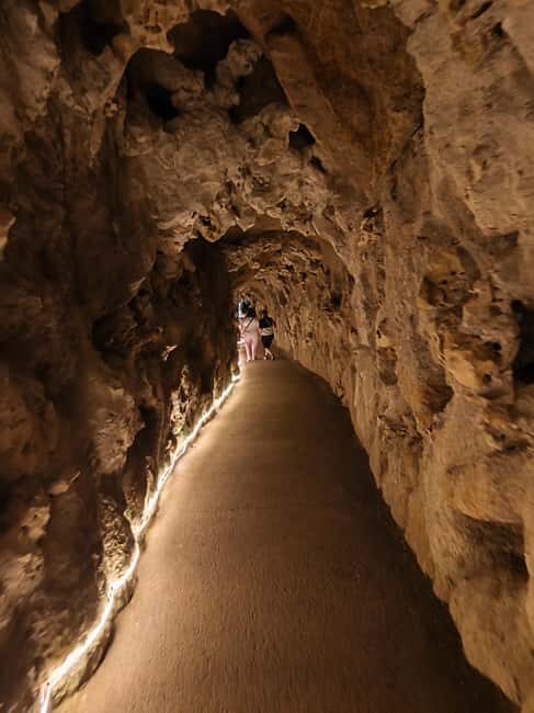 Sintra & Cascais with pastry and electric car. Day Trip - Final Thoughts