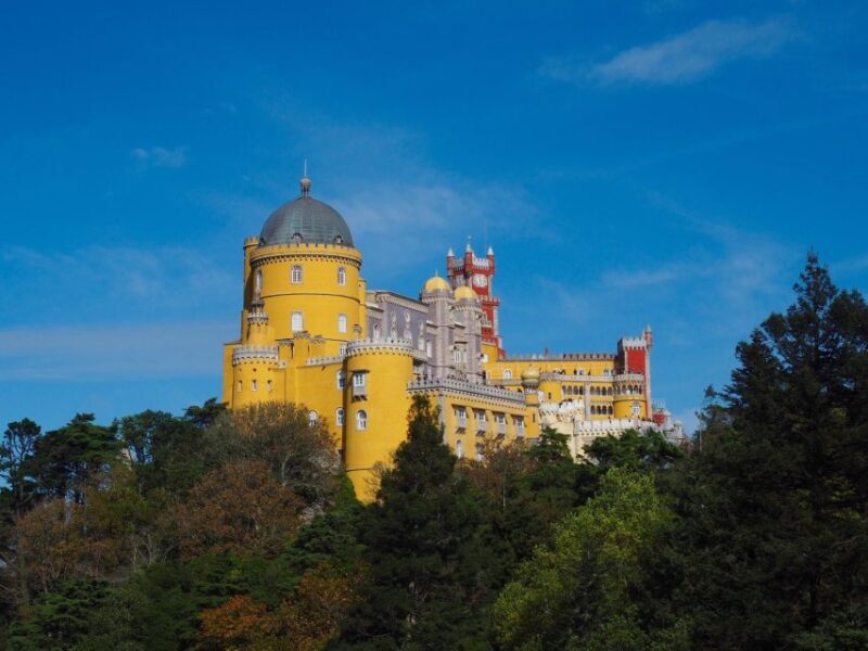 Sintra & Coast Escape  Palaces, Beaches & Villages - Authentic Insights from Past Travelers