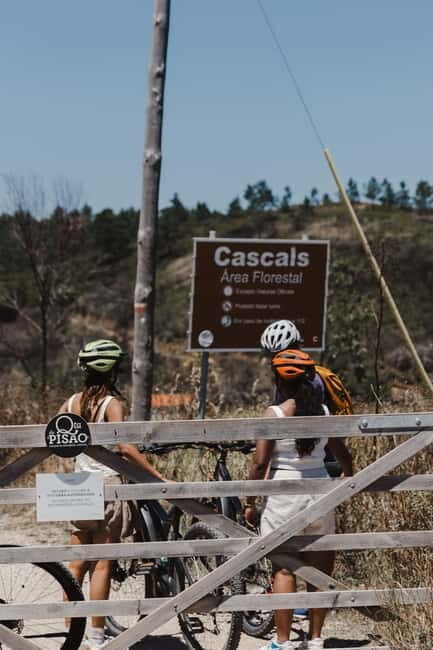 Sintra: E-bike tours of the incredible landscapes - Key Points
