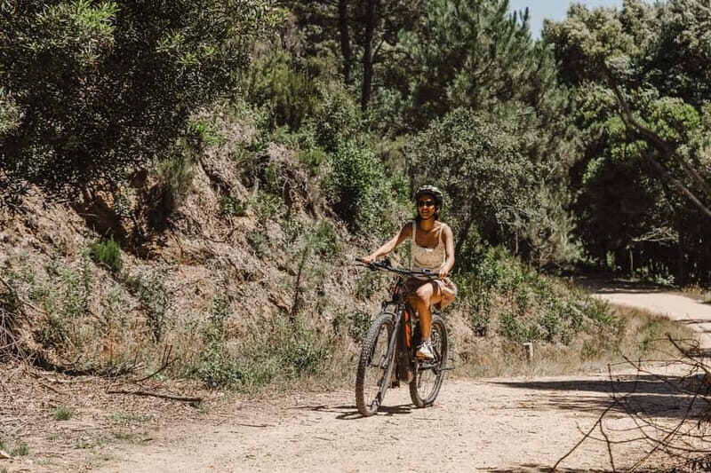 Sintra: E-bike tours of the incredible landscapes - An In-Depth Look at the Sintra E-bike Tour