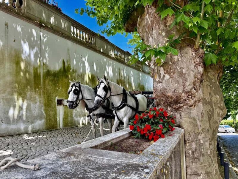 Sintra Express: Pena Park (Tickets included) + Cabo da Roca + Cascais - Cascais: From Seaside Sophistication to Scenic Views