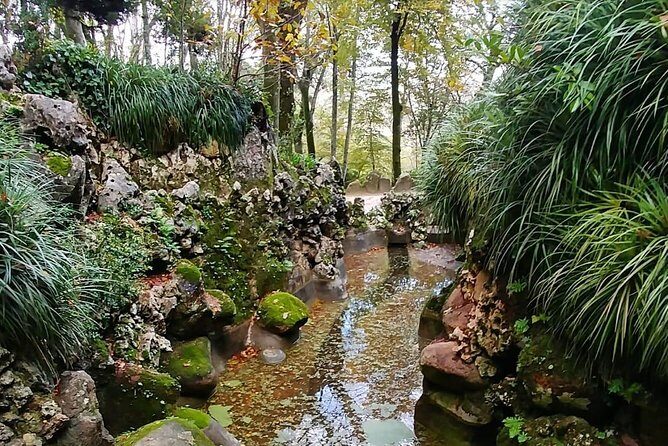 Sintra Full-Day Private Tour - A Journey through Wonderland - The Experience in Real Life: What Travelers Say