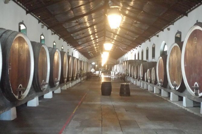 Sintra Full Day Private Wine Experience with Tastings from Lisbon - A Full Breakdown of the Experience