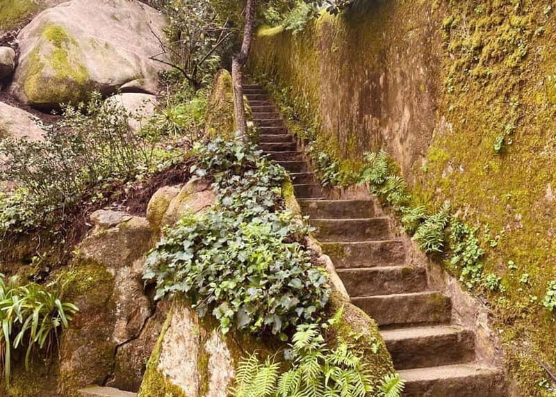 Sintra Half-Day Trip: Pena Palace & Quinta da Regaleira - FAQ