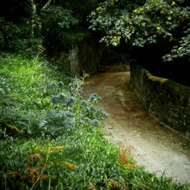 Sintra: Legends and Medieval Stories Private Walking Tour - FAQs
