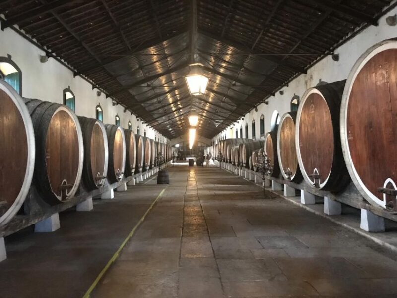 Sintra Off-Road Tour - Atlantic Views & Secret Paths - The Off-Road Adventure: Mountains and Hidden Spots