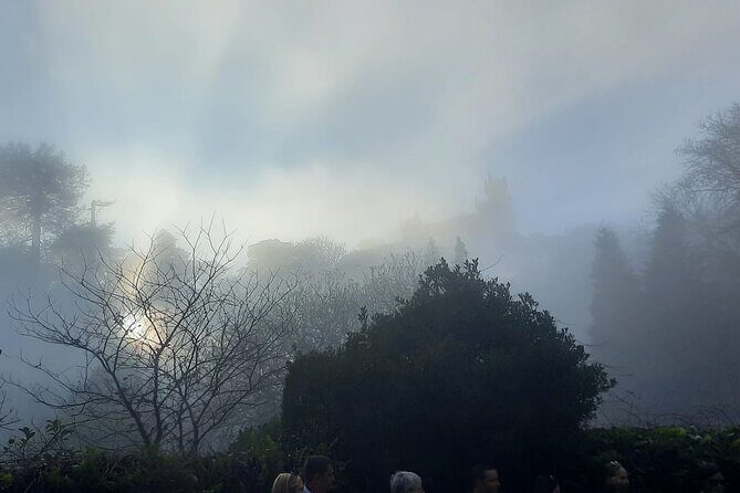 Sintra Palaces and Forest Private Tour - Who Is This Tour Best For?