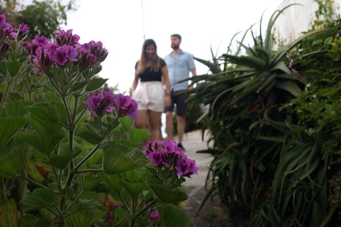 Sintra/Pena, Regaleira & Monserrate - Who Should Consider This Tour?