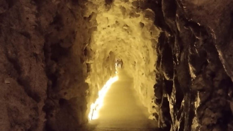 Sintra Private Tour w/Picnic: Pena Park & Qta da Regaleira - What Travelers Say