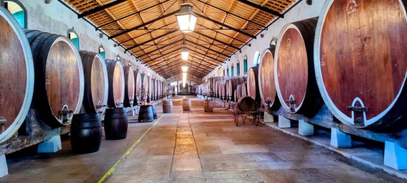 Sintra: Queluz Palace, Biester Palace, and Colares Winery - What Makes This Tour Stand Out?