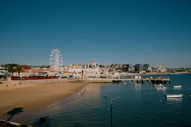 Sintra Tour: Pena Palace, Quinta da Regaleira, Cabo da Roca - What Travelers Say: Authentic Feedback