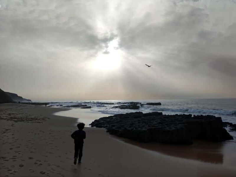 Sintra Tours: Wine & Nature 6h - Discovering Sintra Beyond the Palaces