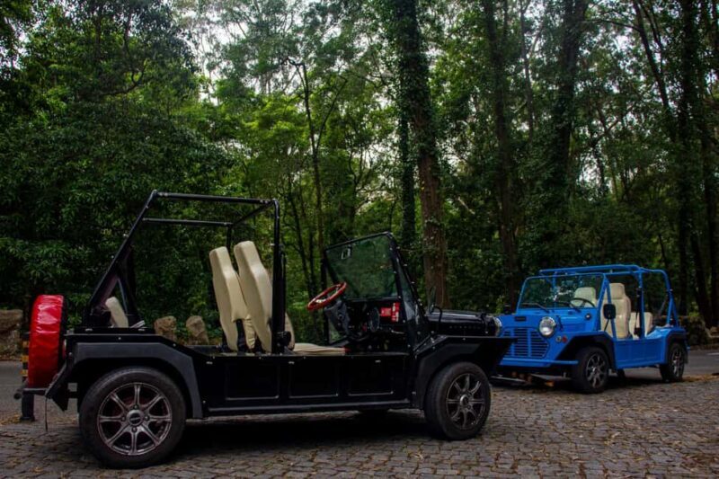 Sintra: Vintage electric Tuk Tuk tour, Pena Palace 4/5 hours - Why Choose This Tour?