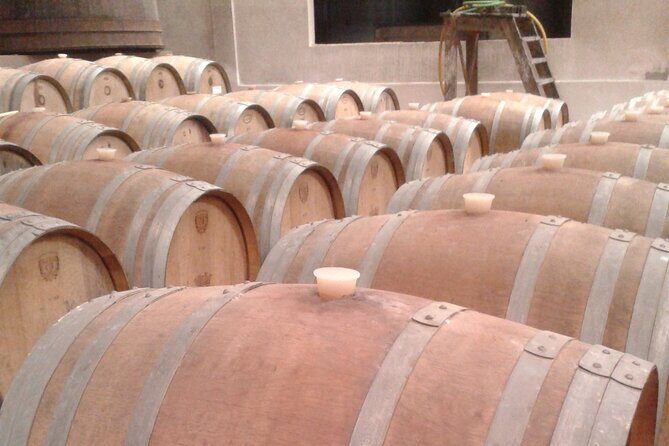 Sintra Wine Tour, Pena Palace, Cascais, Cabo da Roca from Lisbon - Practical Details and Considerations