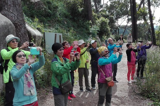 Sintra with tickets to monuments private tour from Lisbon - FAQ