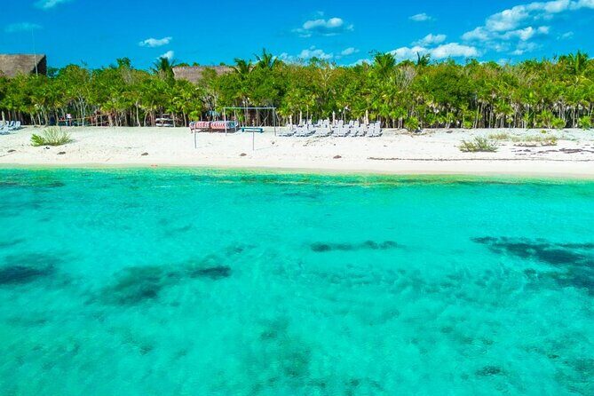 Sip and Sea A Mexican Mixology Escape - Honest Insights from Reviews