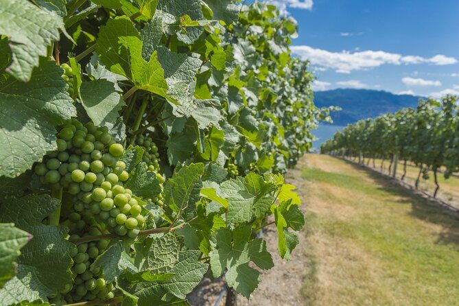 Sip & Savor: Private West Kelowna Wine Trail Escape - The Itinerary in Detail