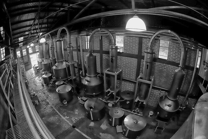 Sip & Savor Tequila Experience Distillery w/ Lunch fr Guadalajara - Lunch at La Taberna del Cofrade