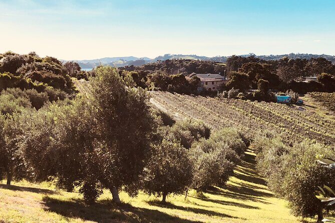 Sip & Savour through Waiheke Island (11 guests max) - Frequently Asked Questions