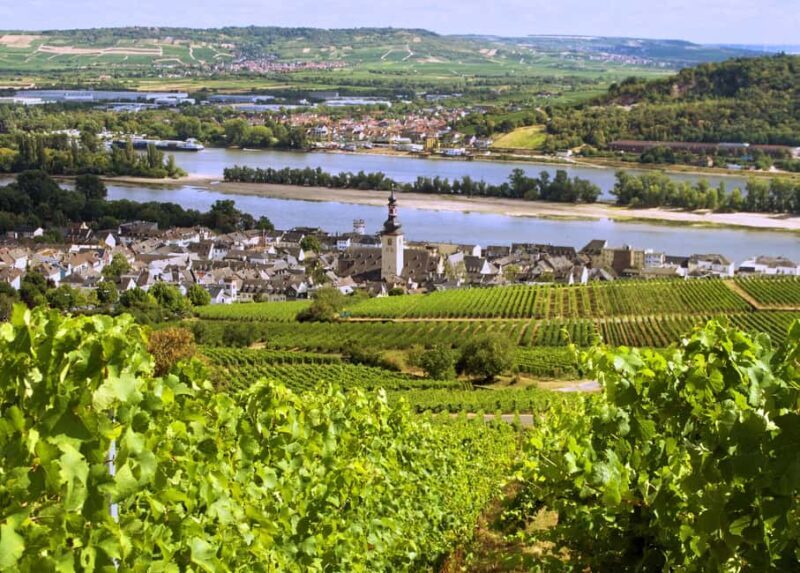 Sip Wine Along the Rhine - Grape Day out from Frankfurt - Key Points