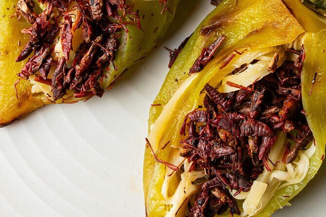 Sips and Savor: Mexico Citys Mezcal Tasting Adventure & Mariachi - Final Recommendation