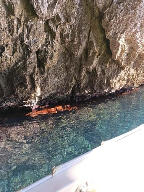 Siracusa: Christmas Boat Tour with "Spumante and Pandoro" - Duration and Variations