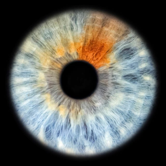 Siracusa Iris Photography Experience - Key Points