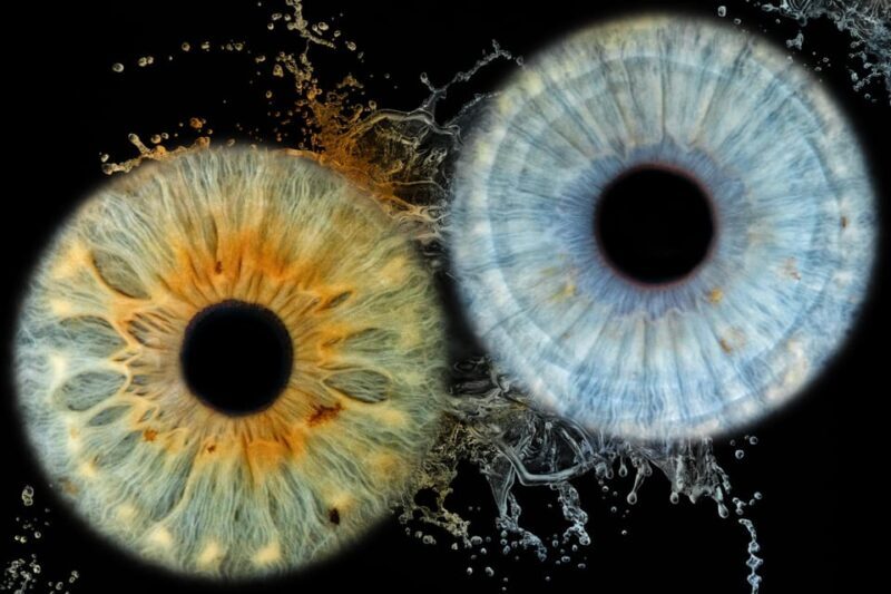 Siracusa Iris Photography Experience - What to Expect from the Siracusa Iris Photography Experience