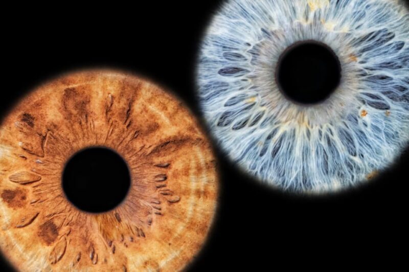 Siracusa Iris Photography Experience - A Closer Look at the Itinerary