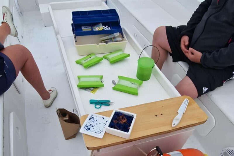 Siracusa: Ortigia +sea caves +fishing experience - Transportation, Group Size, and Cost