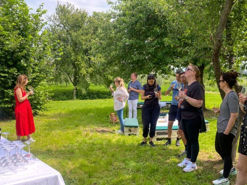 Sirmione: Vineyard Tour with Lugana Wines and Local Tastings - Practical Details