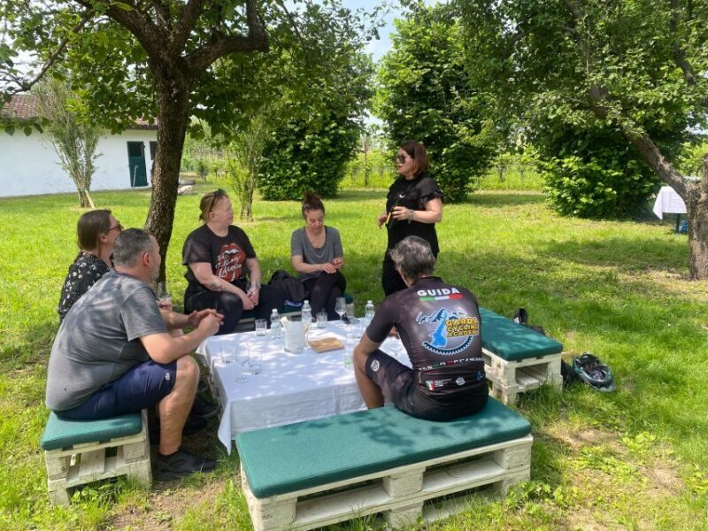 Sirmione: Vineyard Tour with Lugana Wines and Local Tastings - Wrapping It Up