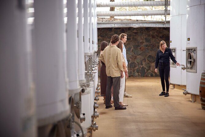 Sirromet Winery Tour and Taste and 2 Course Lunch - What’s Included and What’s Not