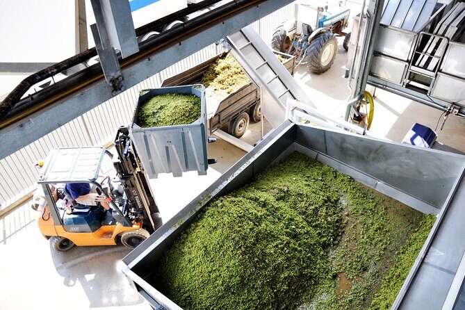 Sirromet Winery Tour and Taste and 2 Course Lunch - Who Is This Tour Best For?