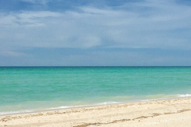 Sisal Mangrove and Beach Kayak Tour From Merida - Who Will Love This Tour?