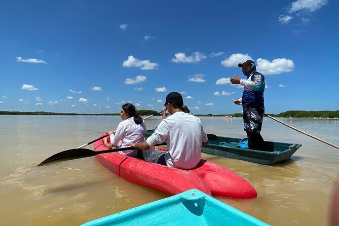Sisal Mangrove and Beach Kayak Tour From Merida - FAQ