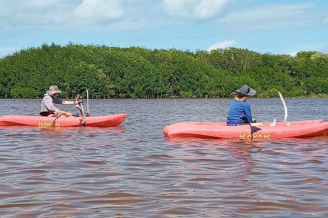 Sisal Mangroves & Beach Expedition from Merida - Who Is This Tour Best For?
