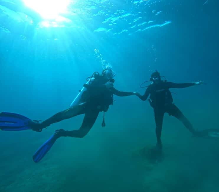 Sithonia: 1 Guided Shore Dive for Certified Divers - The Experience Provider and Community Feedback