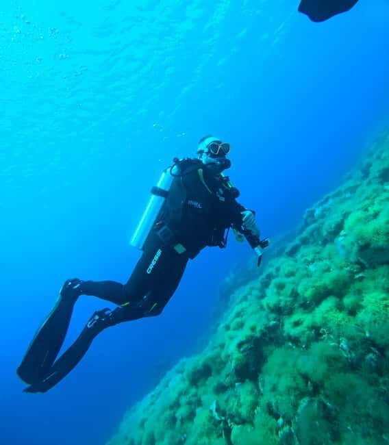Sithonia: 1 Guided Shore Dive for Certified Divers - The Sum Up