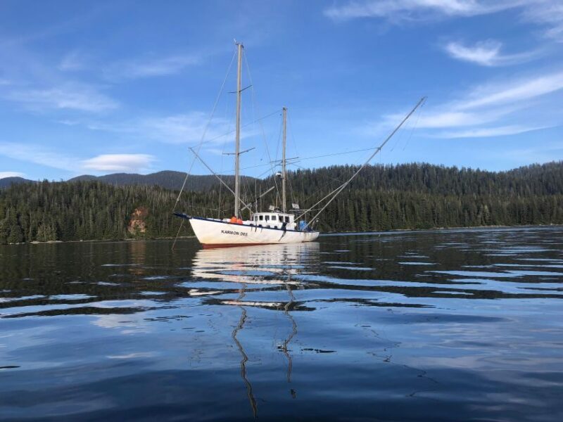 Sitka Boat Tours: whale watching, hot springs, kayaking - FAQ About Sitka Boat Tours