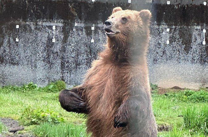 Sitka Scenic Private Tour - The Sum Up