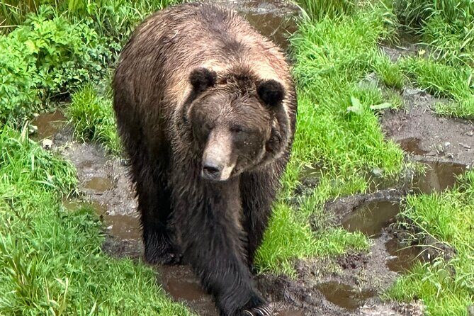 Sitka Scenic Private Tour - FAQ